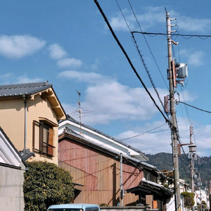 麻豆成人免费网/址
